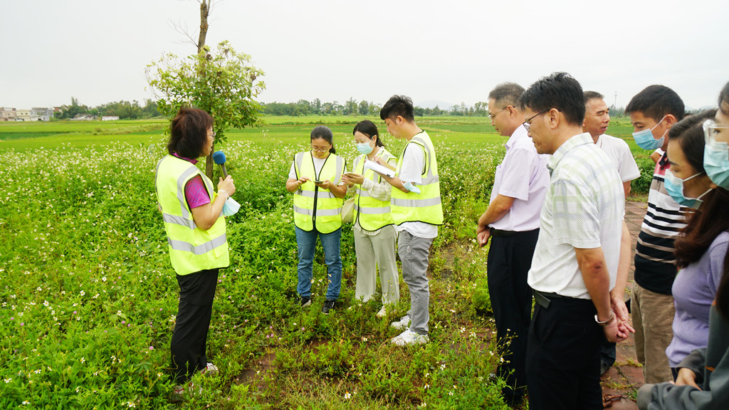 DSC06782_副本.jpg