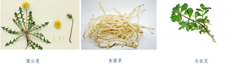 圖片1.png