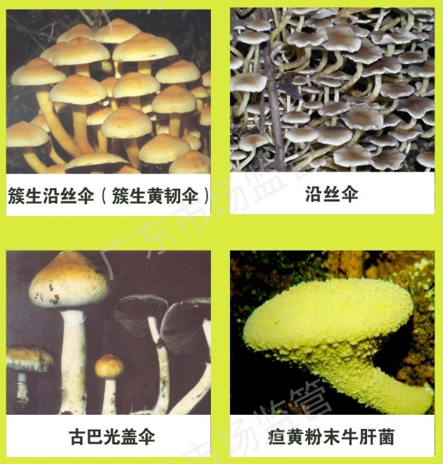 圖片6.png