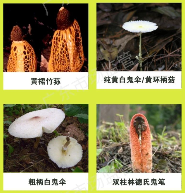 圖片5.png
