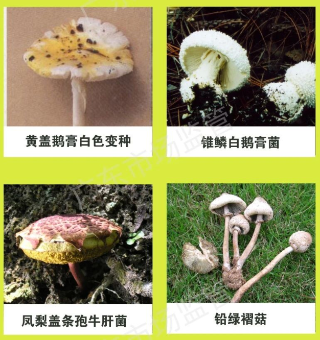 圖片4.png