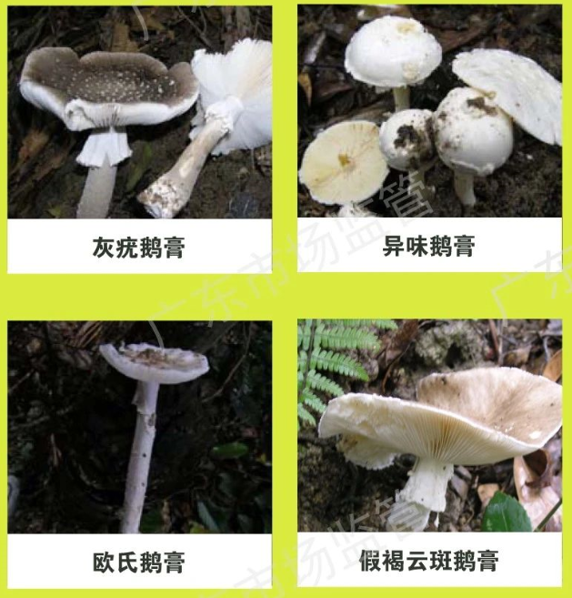 圖片3.png
