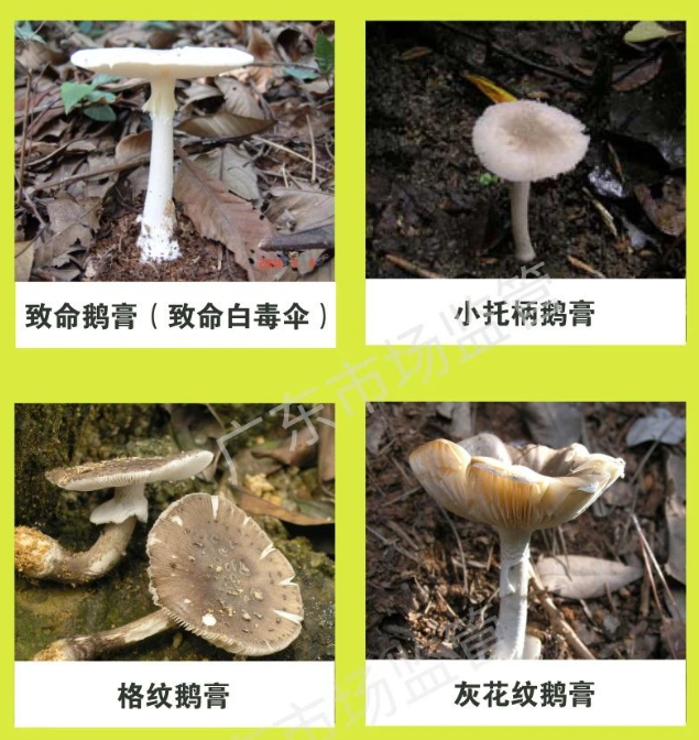 圖片2.png