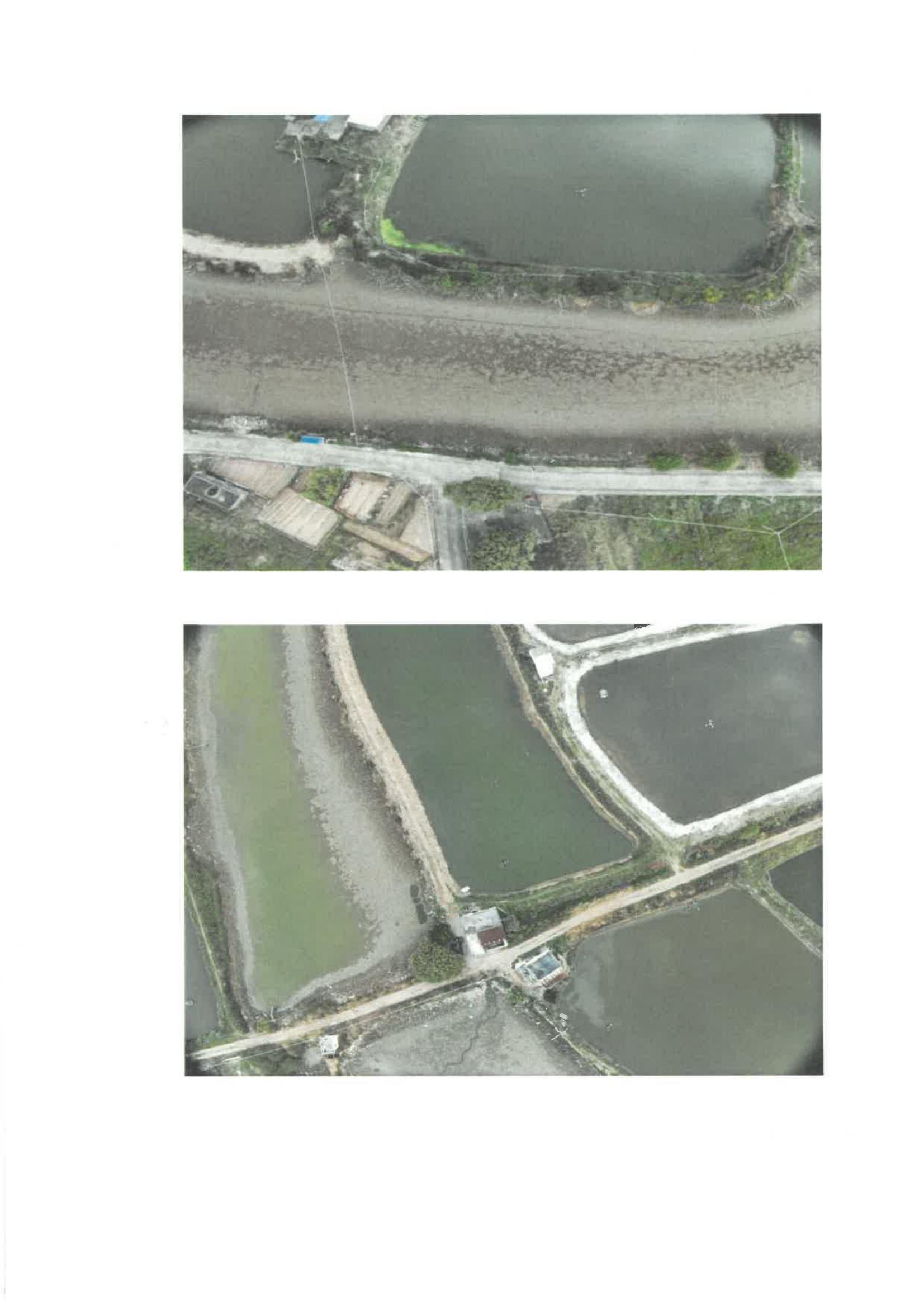 沙頭垅村委會舊涌魚塘出租公開競價交易公告_01.jpg